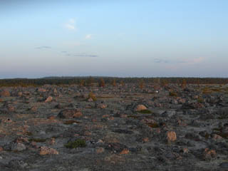 ��� ������